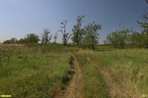 Перспективная ООПТ Урочище Пензенский хутор