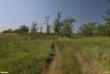 Перспективная ООПТ Урочище Пензенский хутор