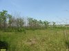 Перспективная ООПТ Урочище Черпак