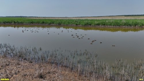 Перспективная ООПТ Ейско-Крыловские плавни
