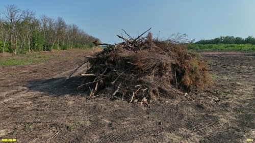 Всё, что осталось от перспективной ООПТ Восточно-Октябрьский лес