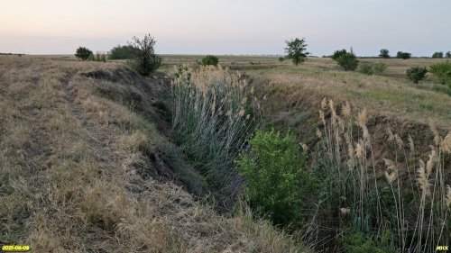 Перспективная ООПТ Томашевская балка