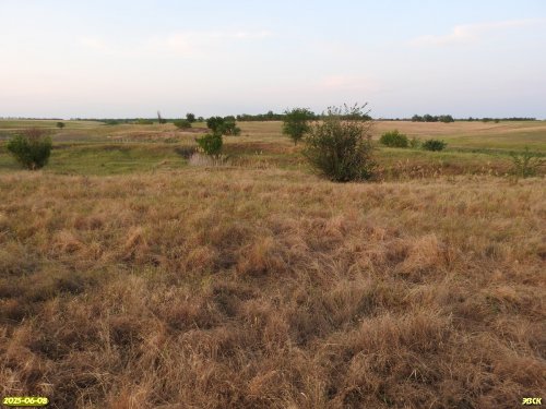 Перспективная ООПТ Томашевская балка