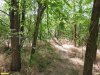 Перспективная ООПТ Демченская роща