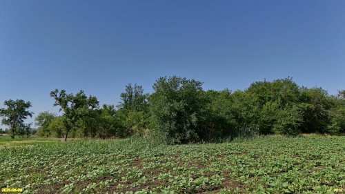 Перспективная ООПТ Демченская роща