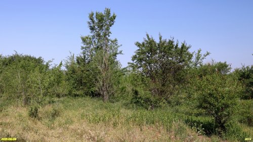 Перспективная ООПТ Урочище Надказачье