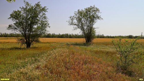 Перспективная ООПТ Урочище Надказачье