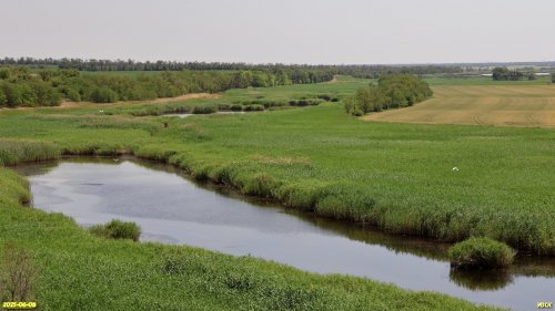 Перспективная ООПТ Степной берег Еи возле балки Крутой
