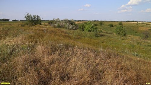 Перспективная ООПТ Красногоровская степь