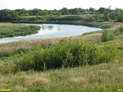 Перспективная ООПТ Красногоровская степь
