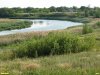 Перспективная ООПТ Красногоровская степь
