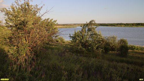 Перспективная ООПТ Калниболотский берег Еи