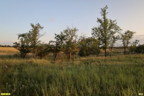 Перспективная ООПТ Луг в Первой Калниболотской балке