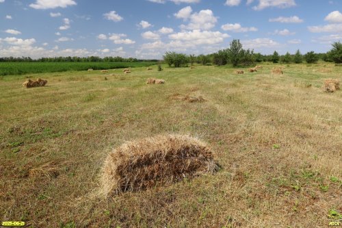 Перспективная ООПТ Балкогрузские луга