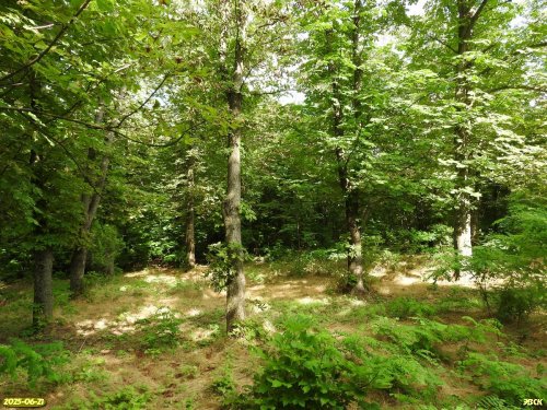 Перспективная ООПТ Каракубанский лесопарк