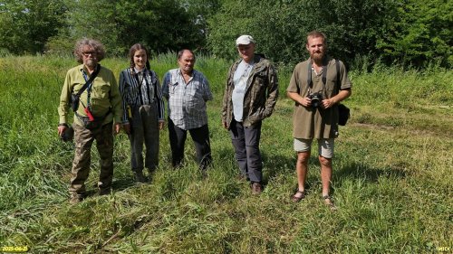 Активисты ЭВСК на обследовании озеленённых территорий в МО Новопокровский район (21.06.2025)