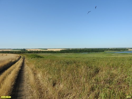 Перспективная ООПТ Федоренковы бугры