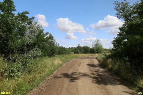 Перспективная ООПТ Калниболотский лес