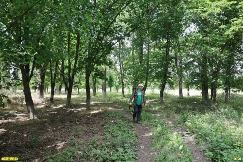 Волонтёр Д.Петраускас на обследовании перспективной ООПТ Восточно-Калниболотская роща