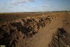 Территория бывшей перспективной ООПТ Успенский лесокустарниковый массив