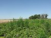 Перспективная ООПТ Гетманов мыс
