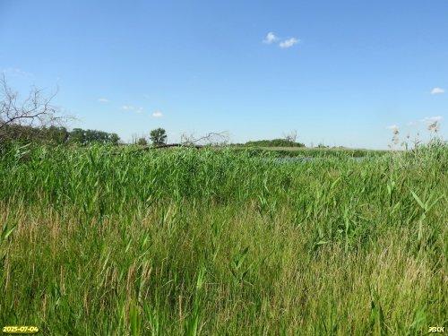 Перспективная ООПТ Краснопартизанские луга