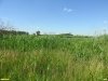 Перспективная ООПТ Краснопартизанские луга
