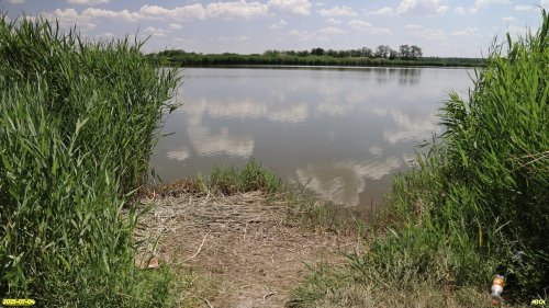 Перспективная ООПТ Барыкин Сад на берегу реки Калалы