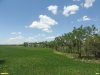 Перспективная ООПТ Усть-Расшеватский берег