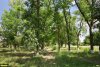 Перспективная ООПТ Туркинский парк