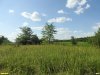 Перспективная ООПТ Расшеватская лесостепь