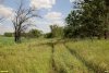 Перспективная ООПТ Урочище Садомцево