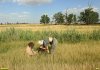 Обследование перспективной ООПТ Новолокинский солончак