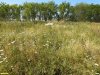 Перспективная ООПТ Правый берег реки Калалы