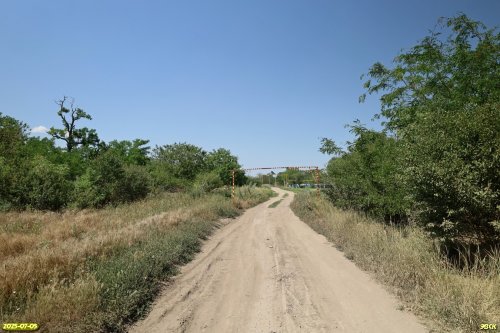 Перспективная ООПТ Роща на улице Южной