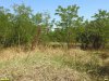Перспективная ООПТ Вторая Южно-Новолокинская роща
