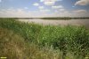 Перспективная ООПТ Новолокинский берег реки Калалы
