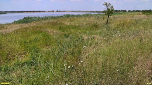 Перспективная ООПТ Новолокинский берег реки Калалы