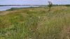 Перспективная ООПТ Новолокинский берег реки Калалы