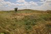 Перспективная ООПТ Калалыйские курганы
