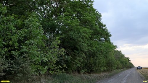 Перспективная ООПТ Приграничная роща