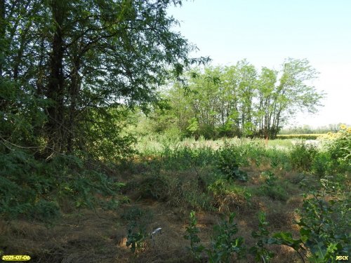 Перспективная ООПТ Урочище Туркино