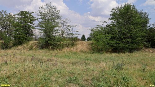 Перспективная ООПТ Буробалковская лесостепь