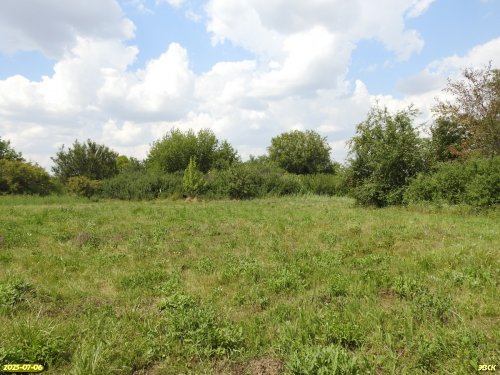 Перспективная ООПТ Новопавловская роща