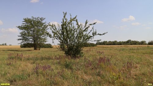 Перспективная ООПТ Новопавловский участок степи
