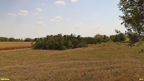 Перспективная ООПТ Роща на улице Октябрьской