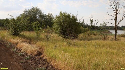 Перспективная ООПТ Рассыпной лес