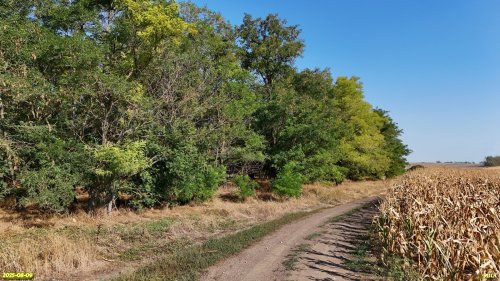 Перспективная ООПТ Мигутинский лес