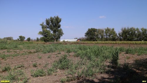 Перспективная ООПТ Шанькина роща