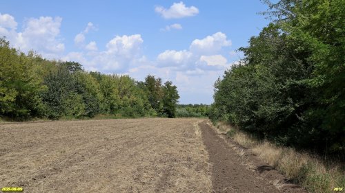 Перспективная ООПТ Стародеревянковская роща